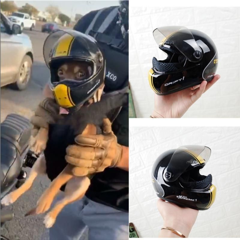 Acquistare Abbigliamento Cani !!!!!! Handsome Mini Moto Casco Pet Cappello  Safety Teddy Bear Bambola Modello Gatto Economico | Consegna Veloce E  Qualità | It.Dhgate
