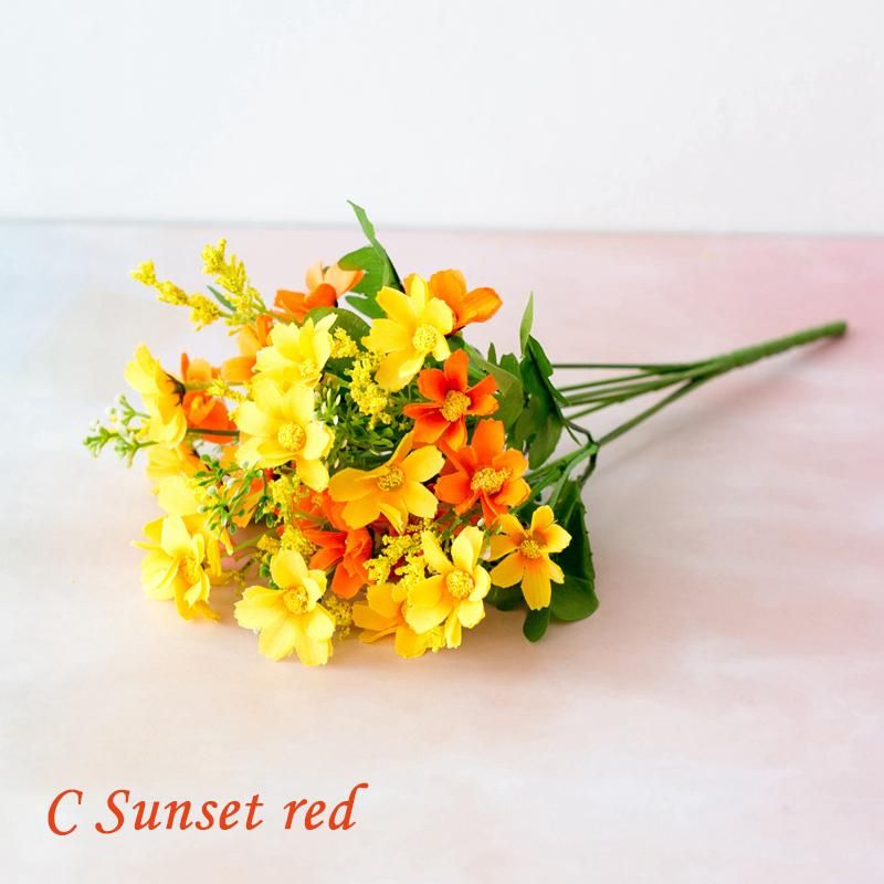 C Sunset Red