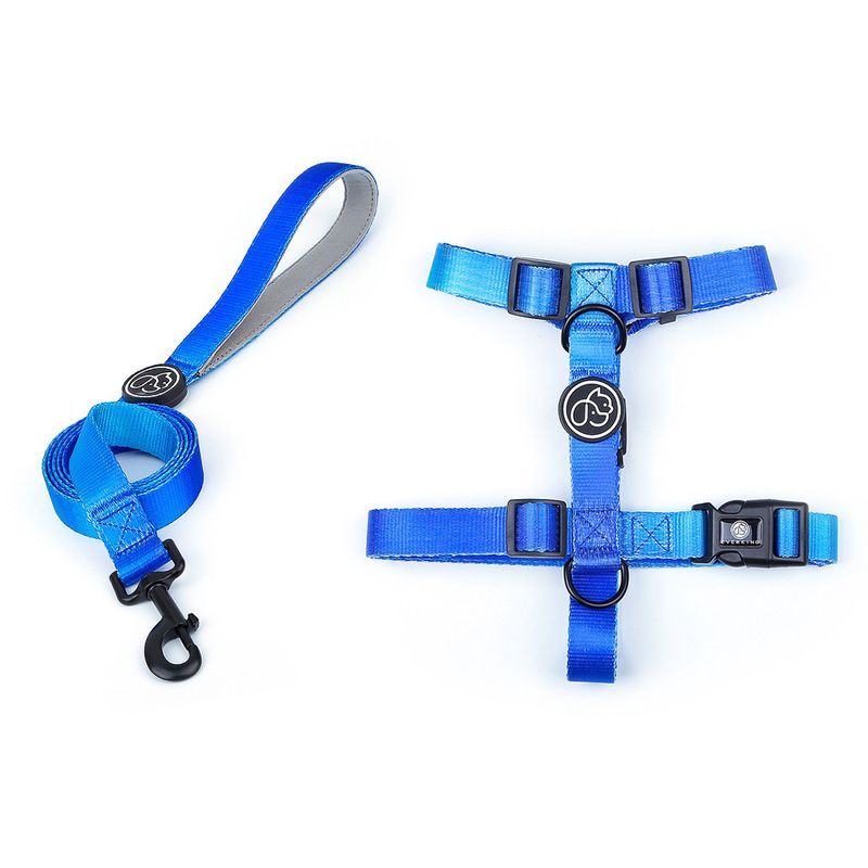 Blaue Harness Leine