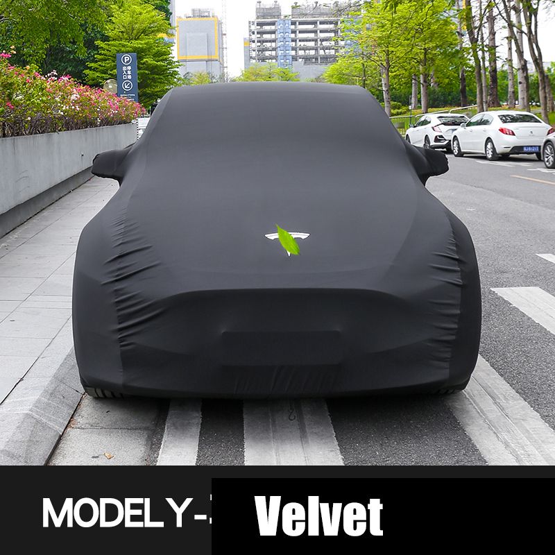 Model y-black