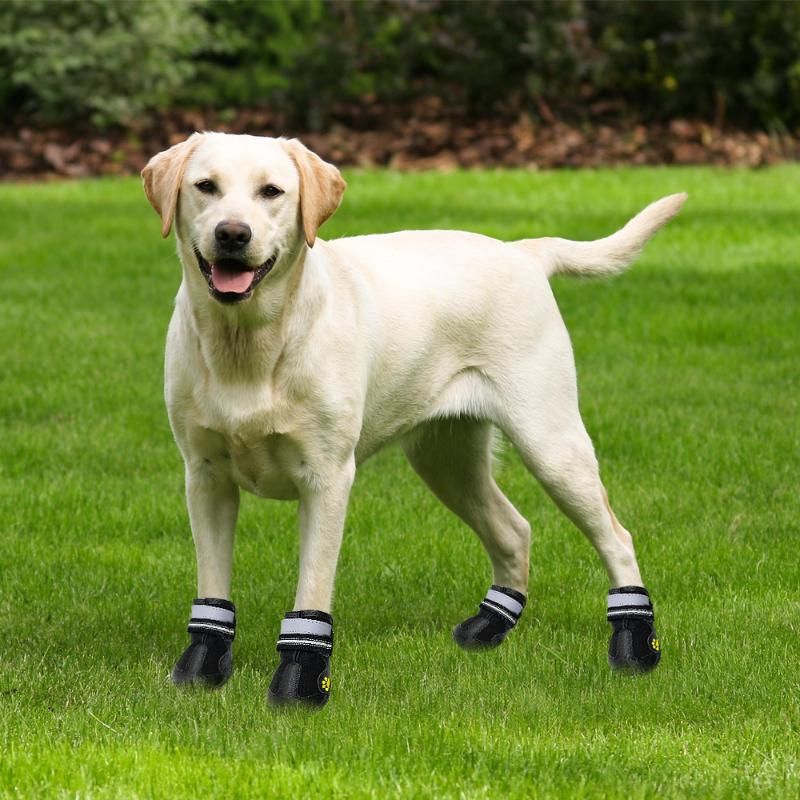 Ropa de zapatos de mascotas a prueba de agua para el aire libre