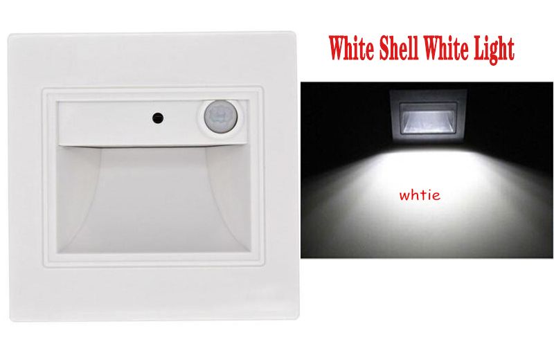 White Shell White Light