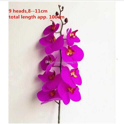 100 cm violet