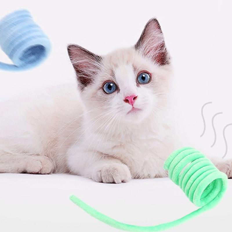 cat toy plastic spring