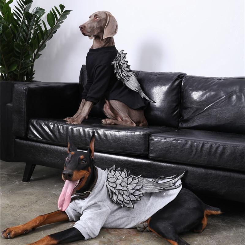 para perros otoño e invierno golden retriever doberman accesorios de mediana edad