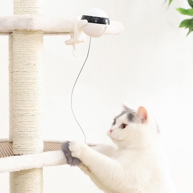 Eléctrico Automático De Levantamiento Gato Bola Juguete Eléctrico Automático De Levantamiento Gato Bola Juguete