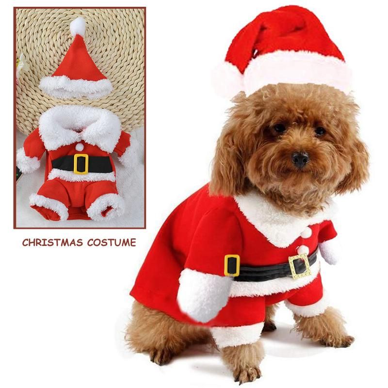 lanzador Puede ser calculado Volverse loco Ropa Para Perros Invierno Navidad Mascota Disfraces Divertidos Papá Noel  Año Puppy Traje Para Perros Gatos Caliente Chihuahua Pug Yorkshire Ropa De  15,76 € | DHgate