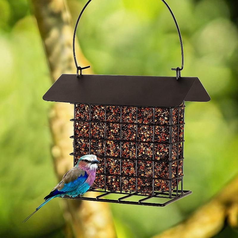 outdoor bird supplies