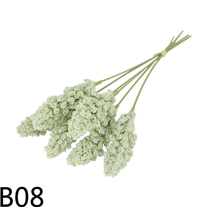 B08.