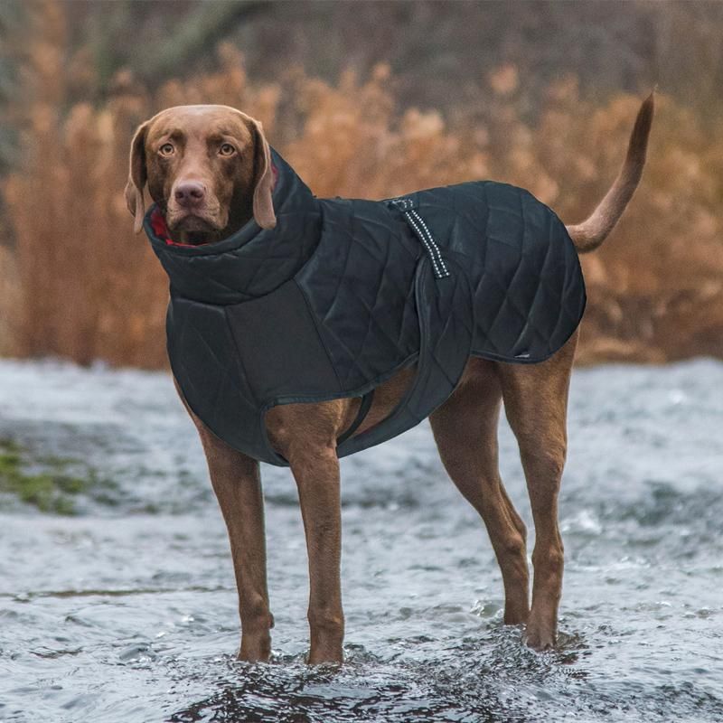 Ropa de perro chaqueta grande invierno abrigos de algodón impermeable cálido Golden Doberman al aire