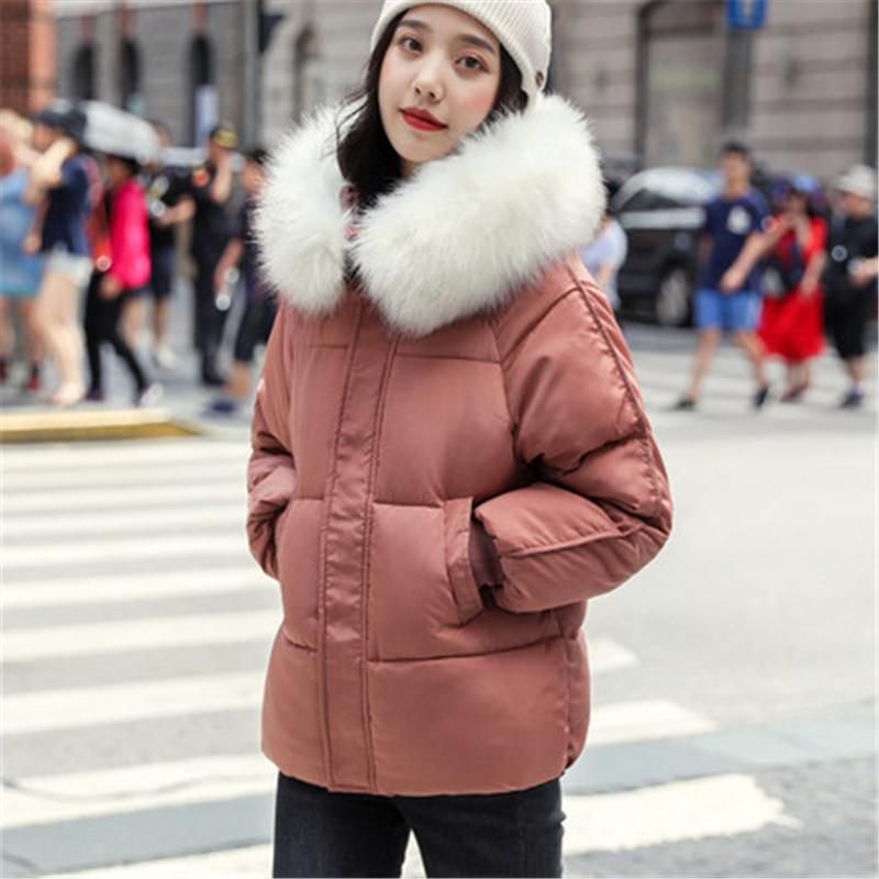 New Women's Parkas Short Coat Winter Down Cotton Jacket Fur Collar Hooded Parka