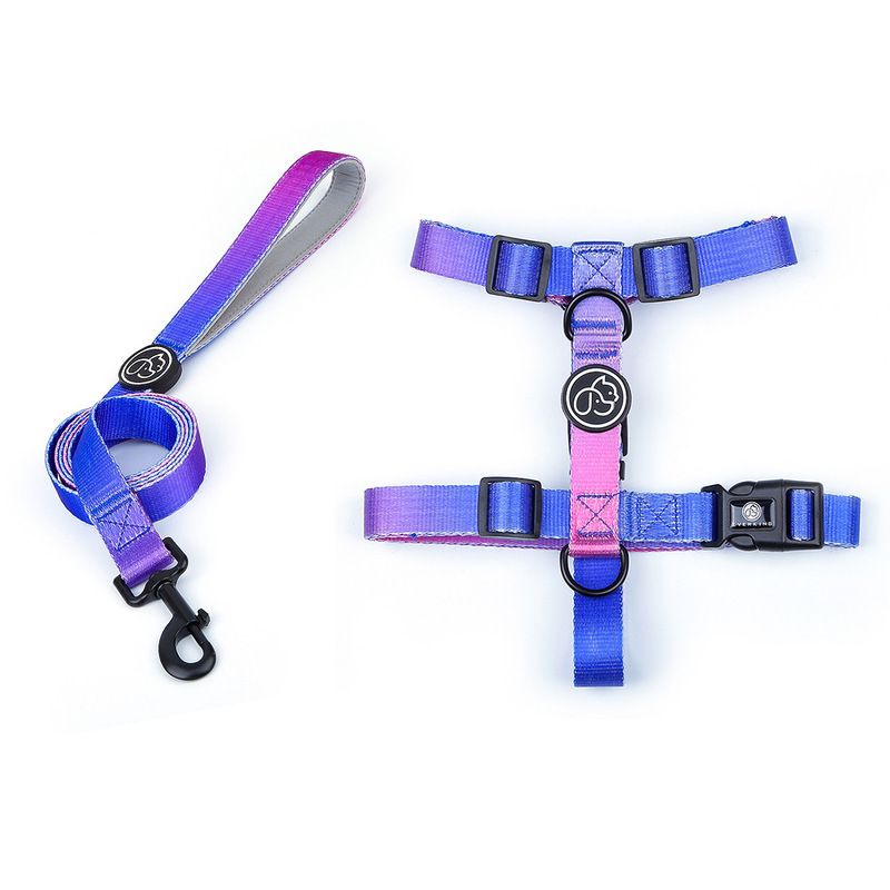 Harnais Violet Leash