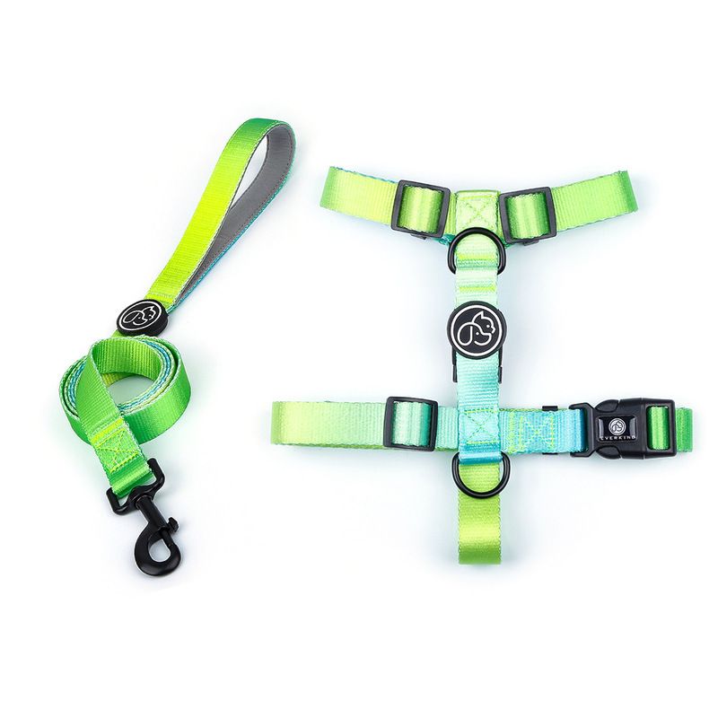 Green Harness Leash