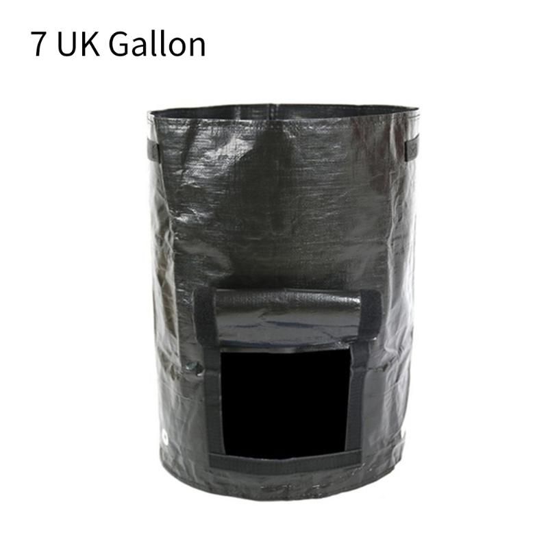 7 UK gallon 05