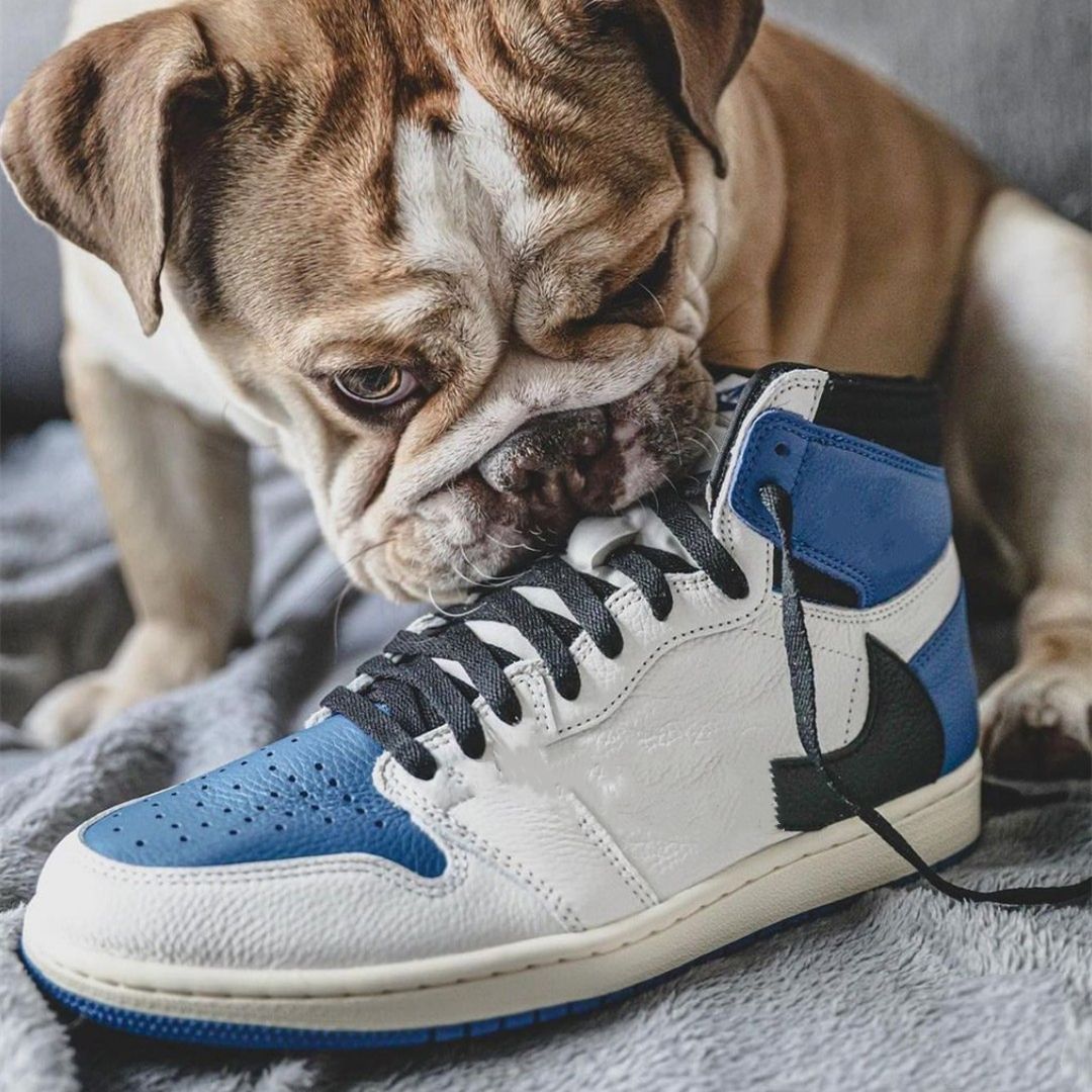 Compra Zapatillas De Baloncesto Barato | Entrega Rápida Y Calidad |  Es.Dhgate. Producto Silmar Pero Precio Más Bajo Que Esdemarca \u0026 Sarenza.