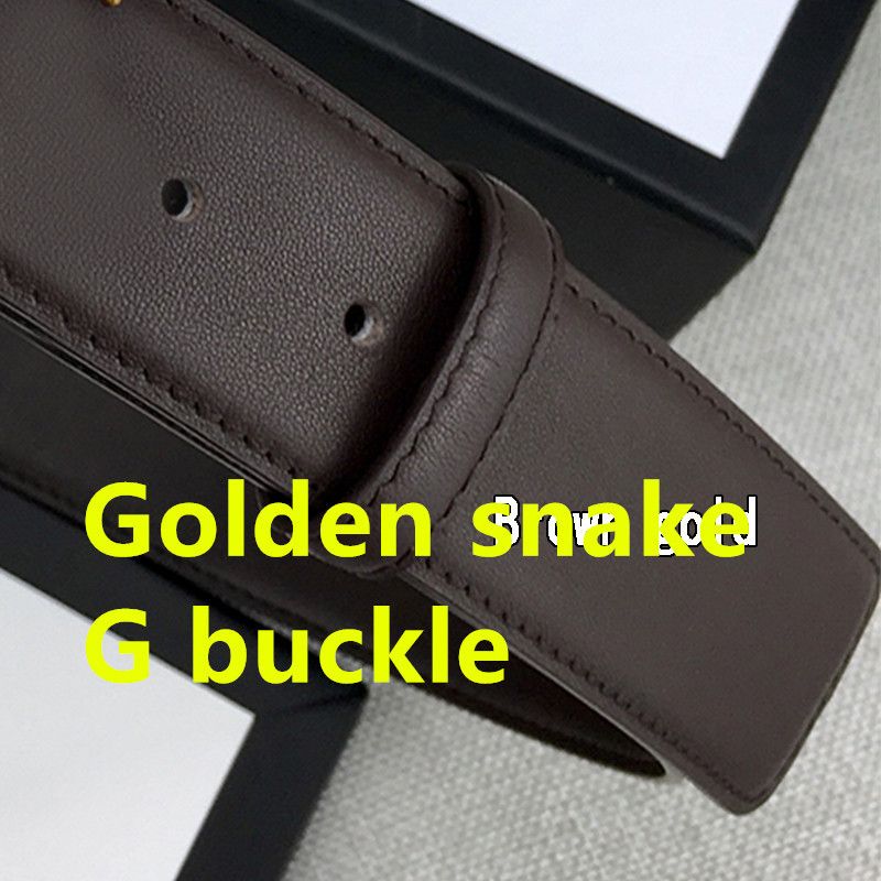 Golden Snake G Buckle Brown