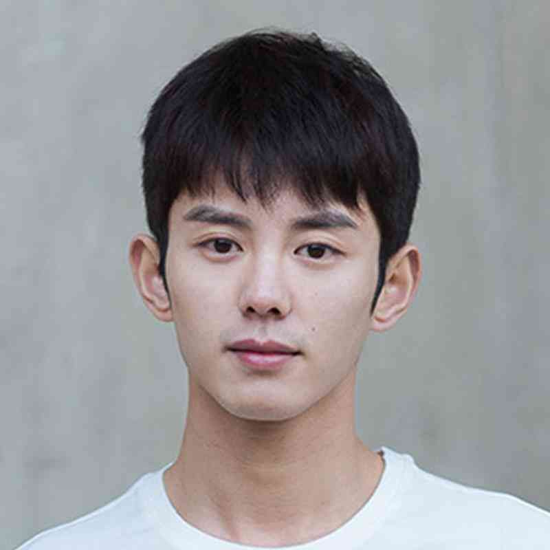 Male wig short hair Korean version handsome boys short straight hair fashion natural men ffy casual Male wig short hair Korean version handsome boys short straight hair fashion natural men ffy casual