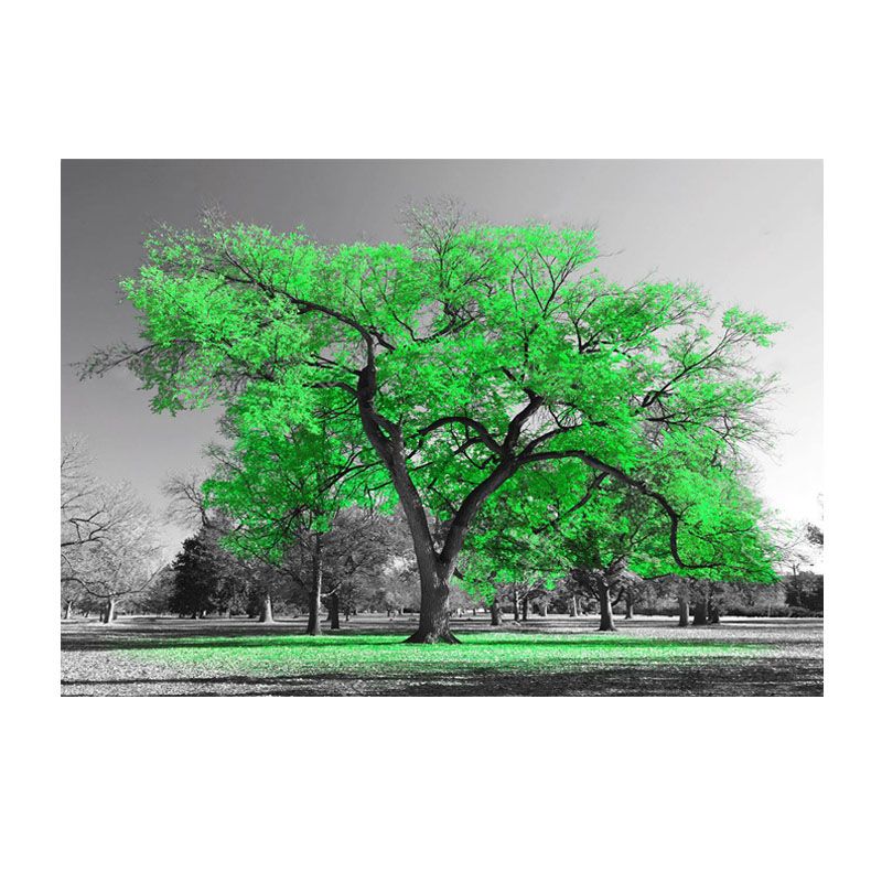 1593-Big-Green-Tree