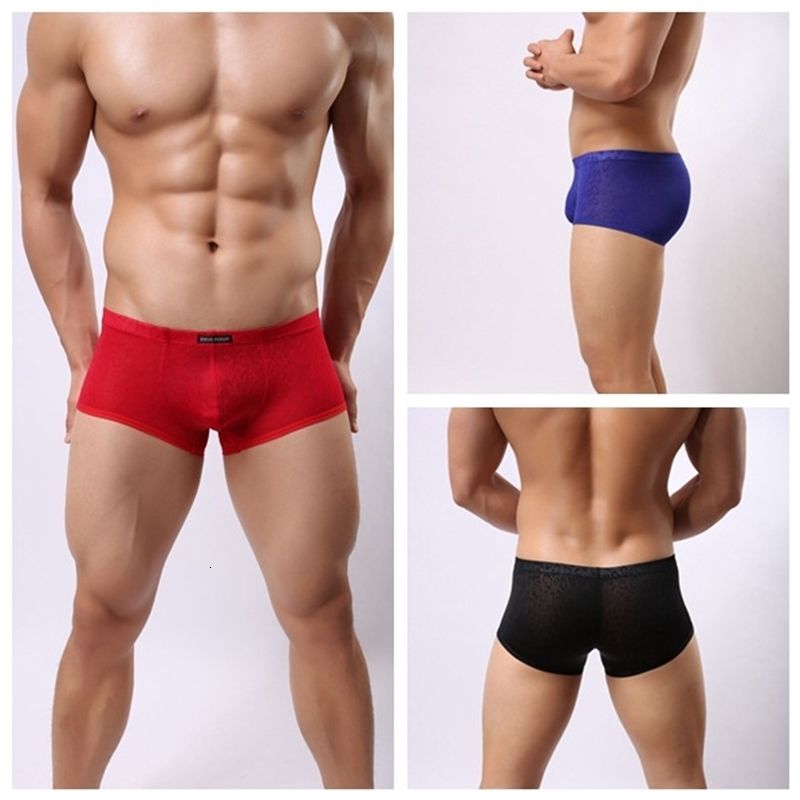 GroothandelBrave Person Nylon Kant Heren Shorts Convex Pouch Sexy  Transparante Ondergoed Boxers Slip Dunne Coole Boxer Voor Mannen Bij H6066  Onder 8,58 € |DHgate