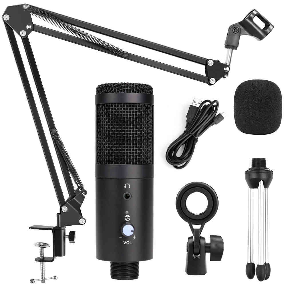 Mic with Stand 3