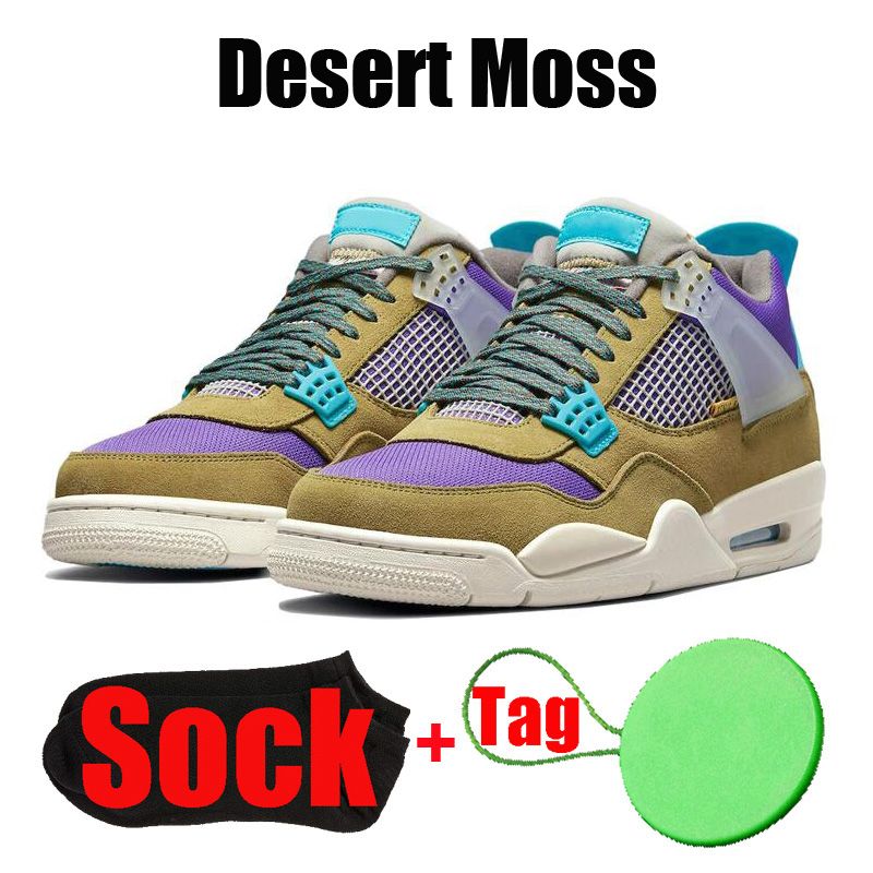 # 33 Desert Moss