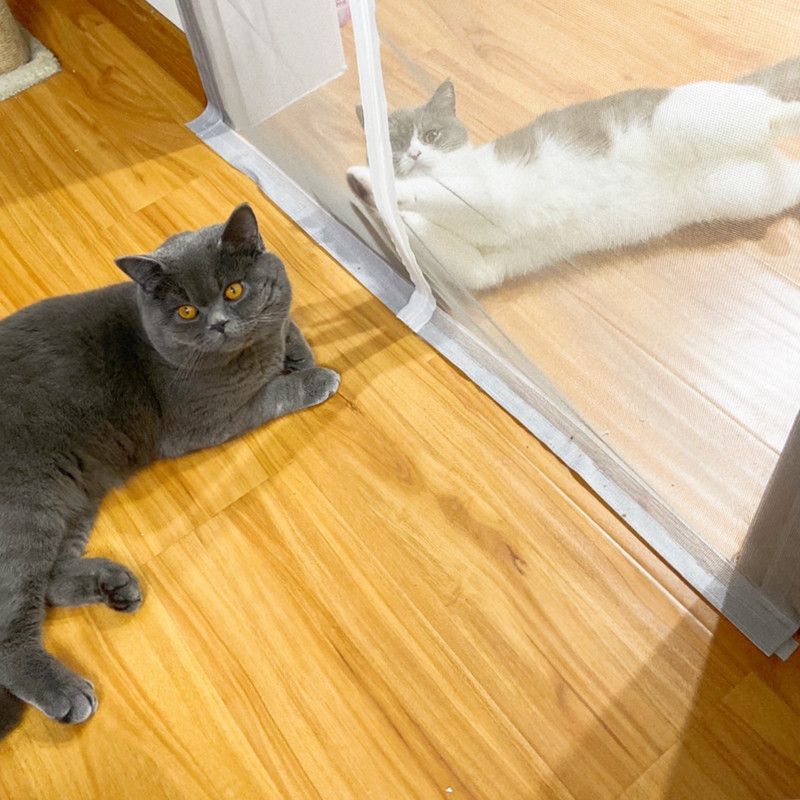 Doors, Gates & Ramps Doors YZJJ Cats Screen Door Pet Partition Cover