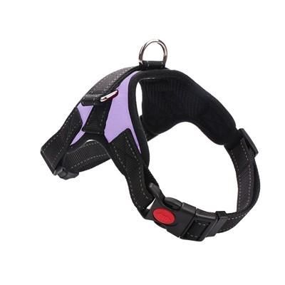 Purple Dog Harness