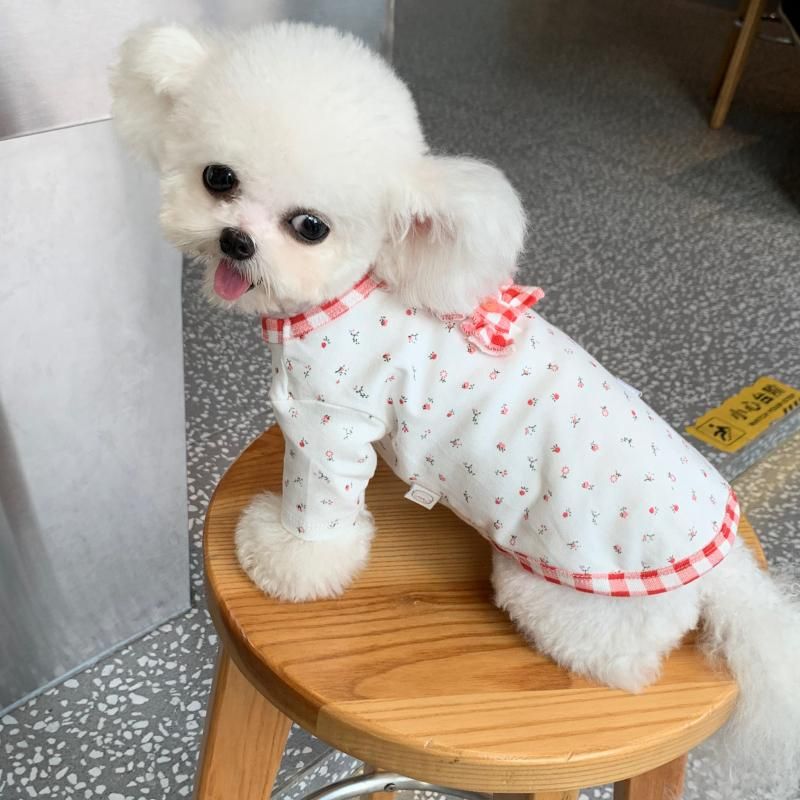 Pequeño perro vestido lindo cachorro chihuahua miniatura pinscher yorkshire pomeranian ropa caniche ropa