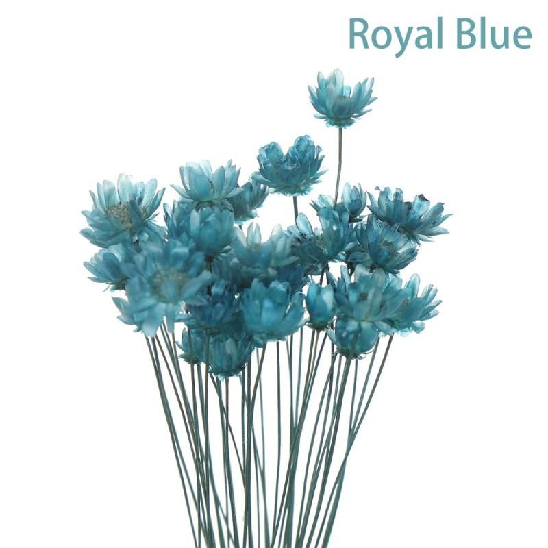 bleu royal