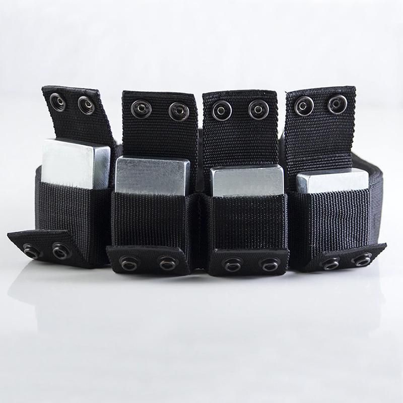 weight collars for pitbulls