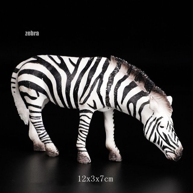 zebra-2