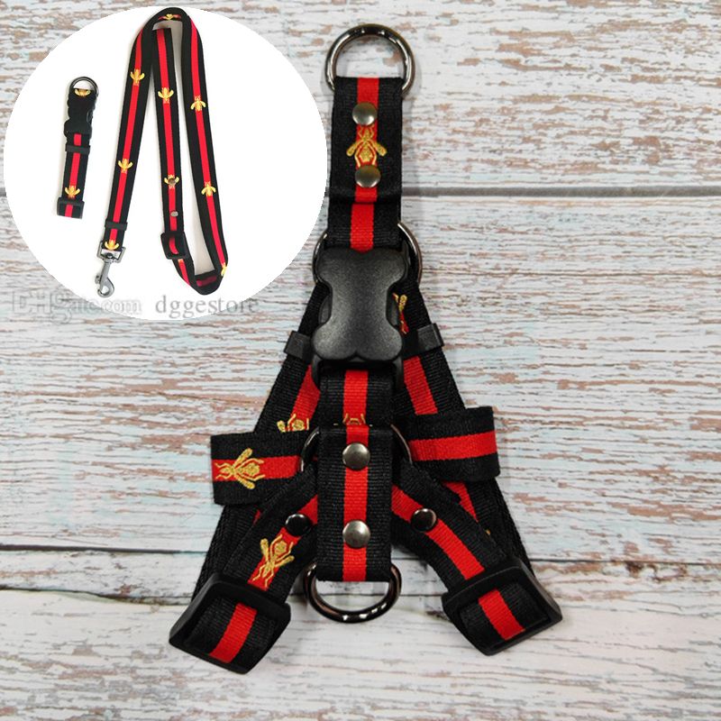 Svarta Collar + Leash + Harnesses