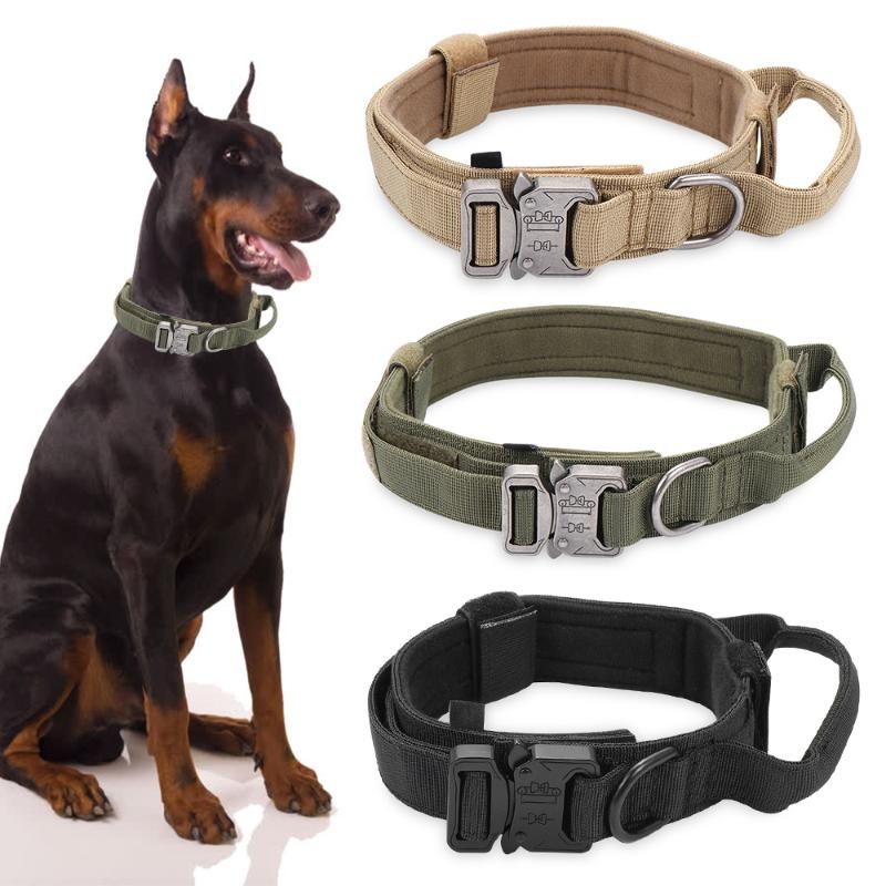 doberman collars and leashes