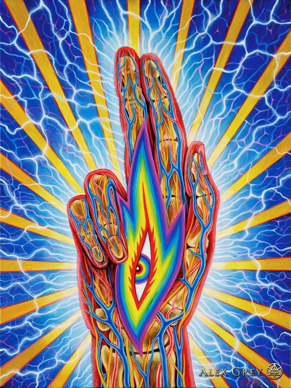Trippy Alex Grey Abstract Silk Art Print Poster 32‘’x24‘’inch 11