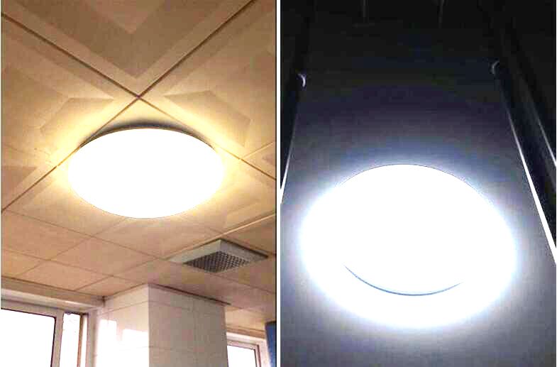 2020 Diy Install 2 Pack Sun Flower Shape 18w Led Circular Ceiling