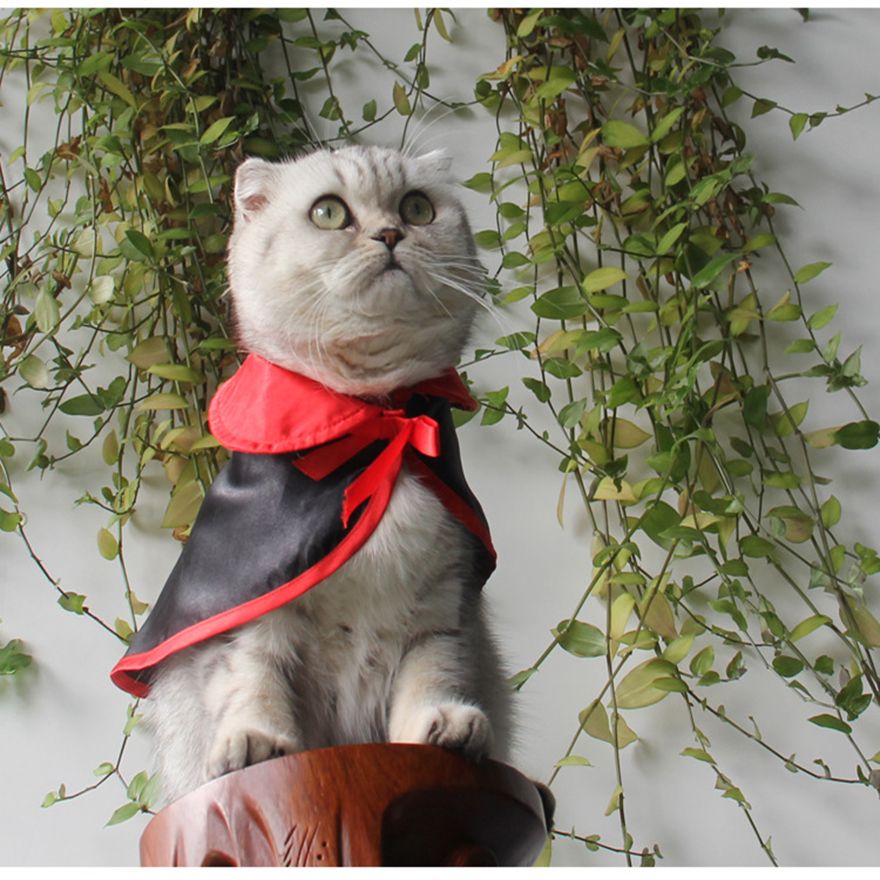 Acheter Nouveau Vetements Pour Animaux De Compagnie Chien Cool Manteau De Chat Manteau De Superman Costumes De Noel Bijoux De 11 44 Du Zheng Lindsey Fr Dhgate Com