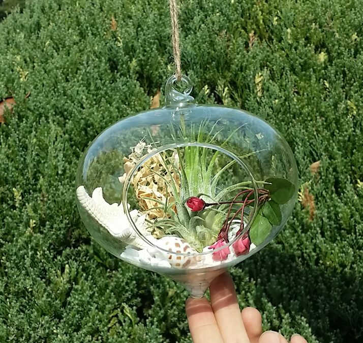 2019 Hanging Onion Glass Terrarium Indoor Plant Terrarium Garden