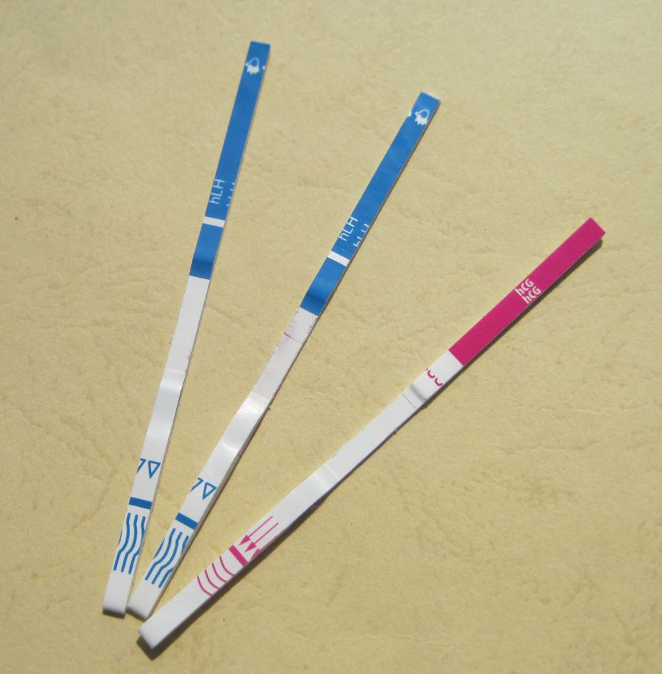 OneStep The Most Accurate At Home Early Pregnancy Test Strips HCG Urine