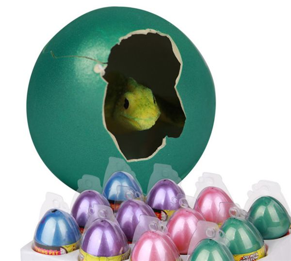 dinosaur egg toy water