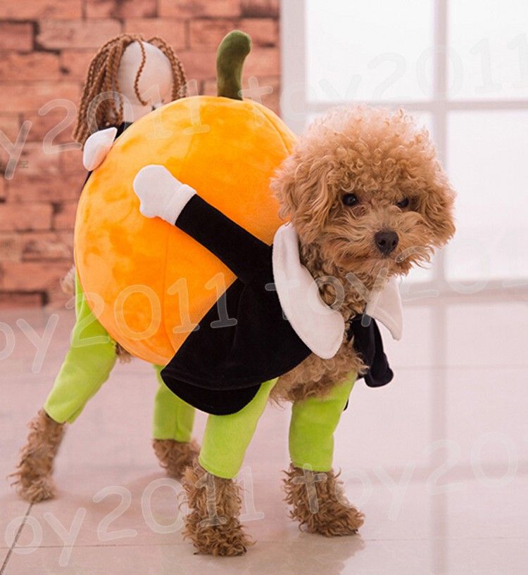 funny puppy clothes