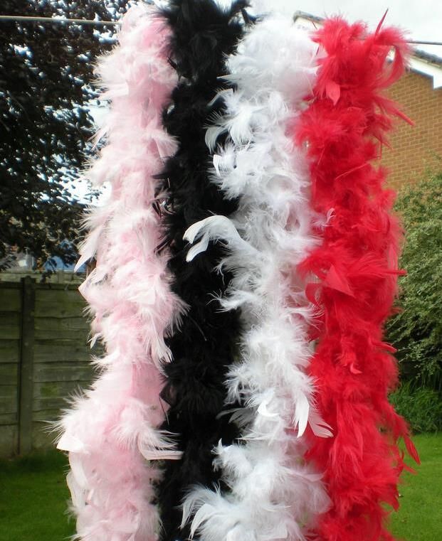 8 Pack Feather BOA Colorful Feather BOA for Costume Party Accessory 8 Different Colors