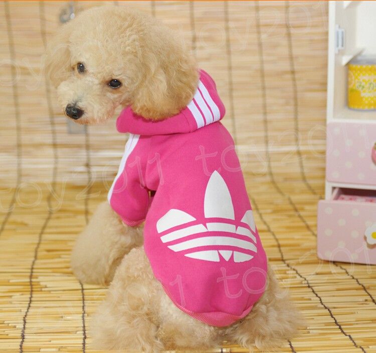 high fashion dog clothes