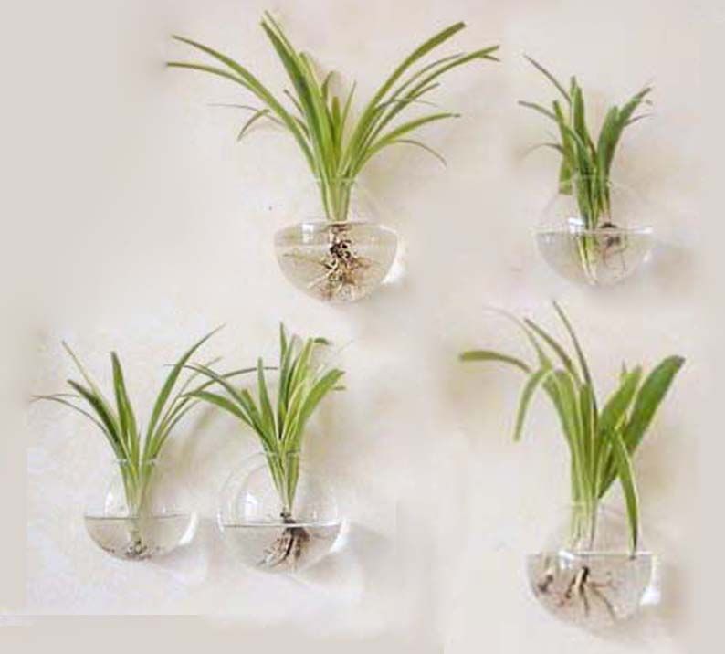 Home Decoration Glass Vases Wall Hanging Decorative Vases Fish