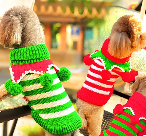 dog sweater dress