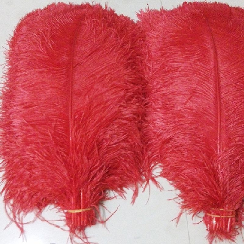 cheap large ostrich feathers
