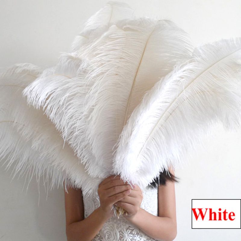 buy large feathers
