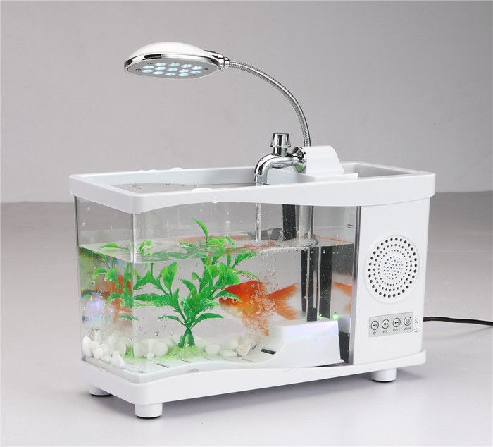portable fish tank