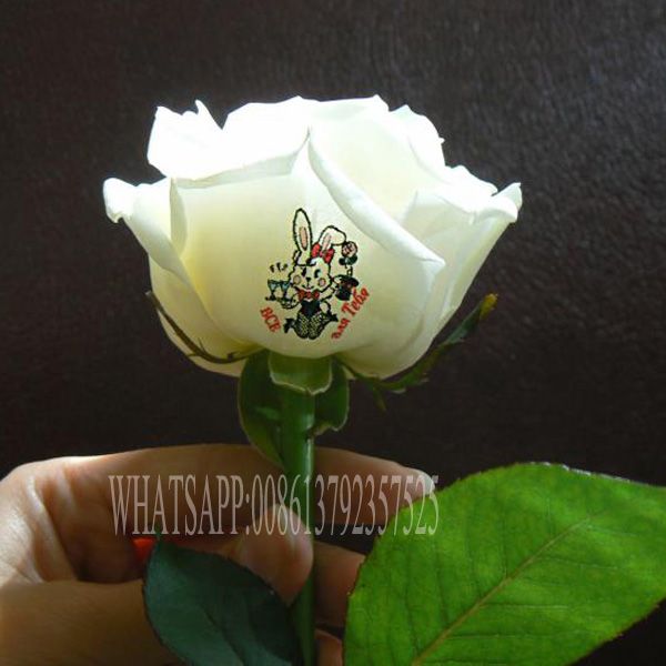 Envío gratis 2015 CE aprobado Impresión de la máquina de impresión de flores 3 rosas al Envío gratis 2015 CE aprobado Impresión de la máquina de impresión de flores 3 rosas al