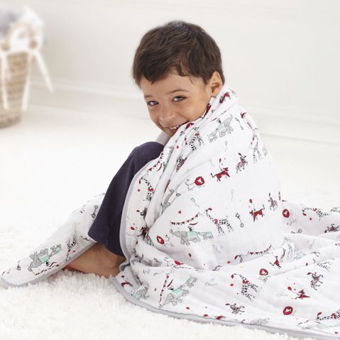 swaddle wrap aden anais