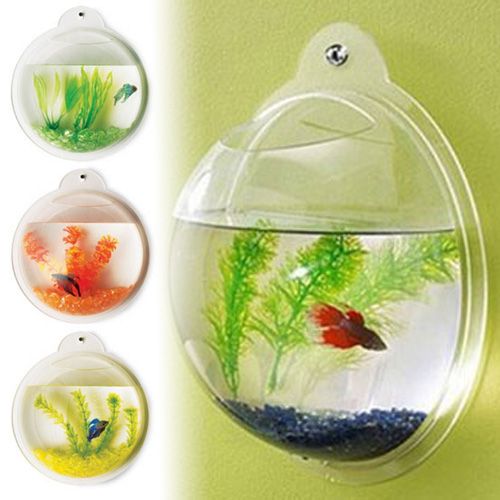 Compre Nuevo Pared Fish Tank Montado Betta Burbuja Acuario